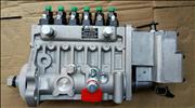 Pump, Fuel Injection  4945977