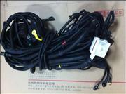 Custom dongfeng tianlong, dongfeng dongfeng hercules and other series of car body chassis wiring harness, the engine wiring harness.