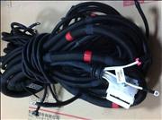 NCustom dongfeng tianlong, dongfeng dongfeng hercules and other series of car body chassis wiring harness, the engine wiring harness.