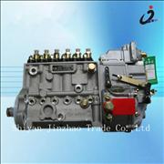 Diesel Fuel Injection Pump Weifu 4944742 39759274944742