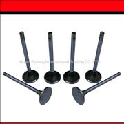 C3921444-C3924492, Original pure Cummins engine 6CT air intake valve