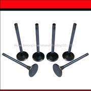 C3921444,C3924492,Genuine pure Cummins 6CT intake and exhaust valve