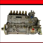 N3976437, Cummins engine parts Bosch fuel pump assy