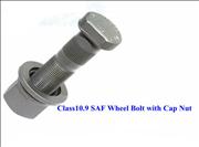 Class10.9 SAF Wheel Bolt with Cap Nut