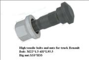 High tensile bolts and nuts for truck Renault1-1-049