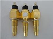 NWater Temperature Sensor 3979176 