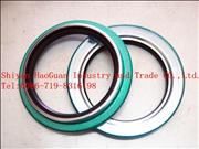 SKF10 ton rear axle hub oil seal