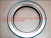 NSKF10 ton rear axle hub oil seal