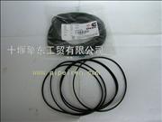 N3907177Cummins cylinder liner resistance hydrosphere