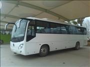 famous dongfeng brand 49 seats white luxury coach bus 