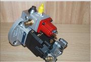 Dongfeng Cummins fuel injection pump OEM 3059784