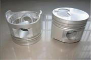 NFoton piston OEM 204406001