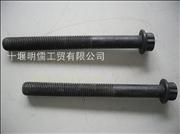 D5010359663 Dongfeng tianlong Renault main bearing cap screwsD5010359663
