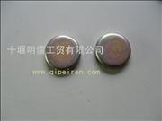ND504153 Bowl plug