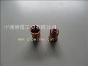 ND5010295301 Dongfeng Renault injector sleeve