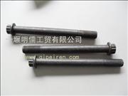 ND5010550553 Dongfeng tianlong Renault cylinder head bolts