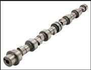 BMW camshaft OEM 11311716138