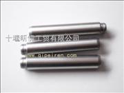 D5000694520/D5010330129 Dongfeng tianlong Renault/valve catheterD5000694520/D5010330129 