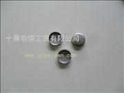 D146976 Dongfeng Renault bowl plug, 28.3 cm