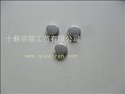 ND146976 Dongfeng Renault bowl plug, 28.3 cm