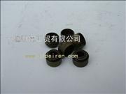 ND5010330133 Dongfeng tianlong Renault valve seal