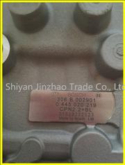 NRenault DCi11 diesel engine fuel pump assy Bosch D5010222523/ 0445020219
