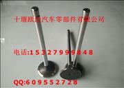 C3942588  L ISLE series C3942588/C3970727 inlet valve for Dongfeng Cummins