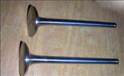 air intake exhaust valve for Beifang Benz