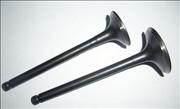 Nair intake exhaust valve for DAEWOO