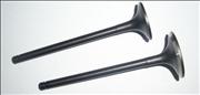 air intake exhaust valve for dongfeng tianjin