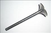 Nair intake exhaust valve for Hino