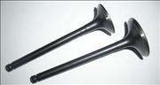 Nair intake exhaust valve for John Deere