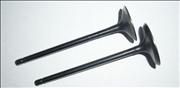 air intake exhaust valve for KIA