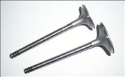 Nair intake exhaust valve for MAN