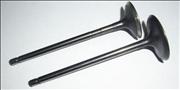 Nair intake exhaust valve for Perkins