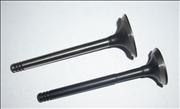Nair intake exhaust valve for Volvo