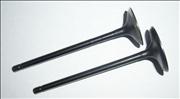 Nair intake exhaust valve for VW truck