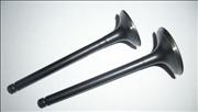 NBuick air intake exhaust valve