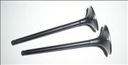 Qirui air intake exhaust valve