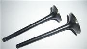 Daihatsu air intake exhaust valve