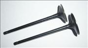 Erqi Shenlong air intake exhaust valve7-12-022