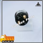 NDumper Truck BOSCH Fuel Injector 0445120304