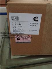 Dongfeng Dragon   Urea pump  C5273338C5273338