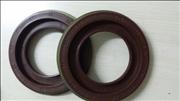 N485Angel gear  oil seal