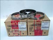 D5010477821/D5010295796D5010412490 Dongfeng Renault DCI11 piston ring
