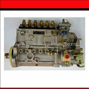 N6P703  high pressure fuel pump