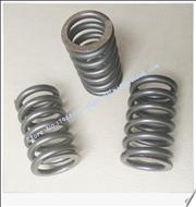 Nchina auto parts valve spring 3926700 2900276