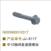 OEM N000960012317 differential machinism screw