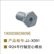 OEM 190003803809E balance hollow screw190003803809E