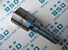 Common Rail Nozzle DLLA152P947,DLLA152P947DLLA152P947